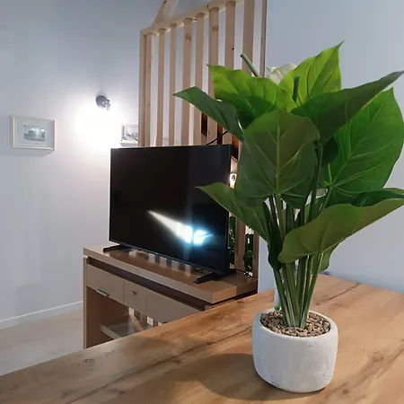 Turisticos Puerta Del Rastro 2-2 Lejlighed *